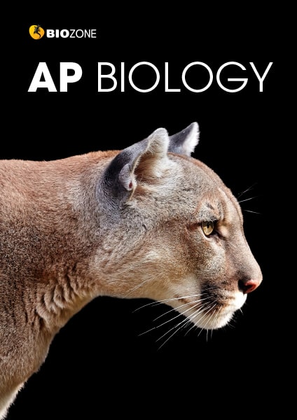 Cover of APB1